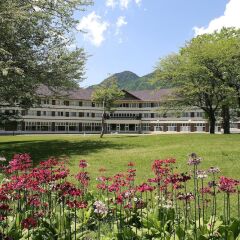 Nikko Astraea Hotel Никко фото 6