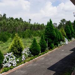 Отель Motel Santiago балкон