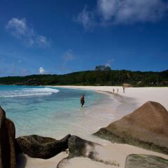 Gregoire's Apartments in La Digue, Seychelles from 146$, photos, reviews - zenhotels.com photo 4