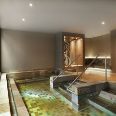Отель Hyatt Regency Düsseldorf сауна