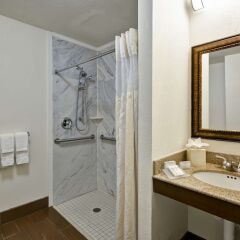 Отель Hilton Garden Inn Sarasota - Bradenton Airport ванная фото 2