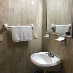 Отель Arboledas Expo Мексика, Гвадалахара - отзывы, цены и фото номеров - забронировать отель Arboledas Expo онлайн ванная