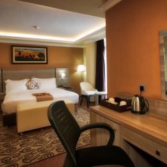 Holiday Hotel in Addis Ababa, Ethiopia from 147$, photos, reviews - zenhotels.com room amenities