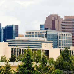 Отель Hilton Bellevue фото 6