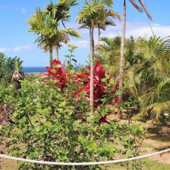 Отель Sea Winds Luxury Villa фото 4