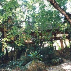 Отель Ella Jungle Resort Шри-Ланка, Бандаравела - отзывы, цены и фото номеров - забронировать отель Ella Jungle Resort онлайн фото 4