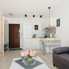 Отель Chlodna Silver Apartment Польша, Варшава - отзывы, цены и фото номеров - забронировать отель Chlodna Silver Apartment онлайн комната для гостей фото 3
