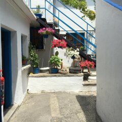 Fındık Pansıyon Турция, Измир - отзывы, цены и фото номеров - забронировать отель Fındık Pansıyon онлайн фото 6