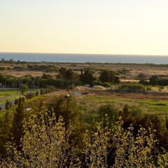 Отель Parque das Amendoeiras Португалия, Виламура - отзывы, цены и фото номеров - забронировать отель Parque das Amendoeiras онлайн приотельная территория фото 2