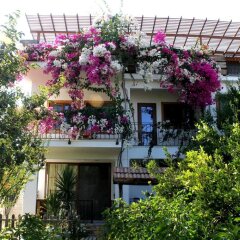 Liman Pansiyon Турция, Датча - отзывы, цены и фото номеров - забронировать отель Liman Pansiyon онлайн фото 2
