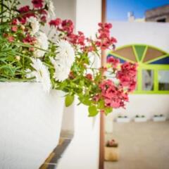 Отель Lemon Tree Bed & Breakfast балкон
