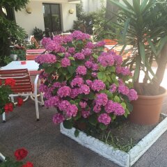 Hotel Mon Pays Римини фото 2