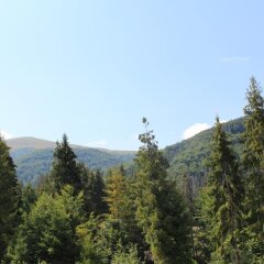 Гостиница Горянин фото 4
