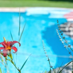 Отель Business Resort Parkhotel Werth Италия, Горнолыжный курорт Ортлер - отзывы, цены и фото номеров - забронировать отель Business Resort Parkhotel Werth онлайн бассейн фото 2