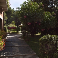 Hotel Miramare Чивитанова-Марке фото 4