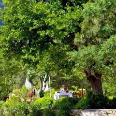 Etenna Bungalow Hotel фото 2