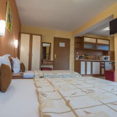 Отель Ikonomov SPA Hotel Болгария, Банско - отзывы, цены и фото номеров - забронировать отель Ikonomov SPA Hotel онлайн в номере