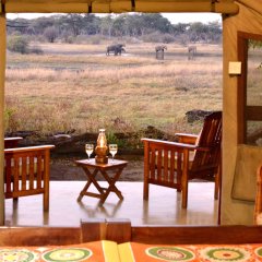 Rhino Safari Camp in Hwange Nat Park, Zimbabwe from 147$, photos, reviews - zenhotels.com balcony