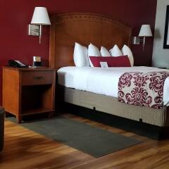 Отель Best Western Plus Greenwell Inn комната для гостей фото 3