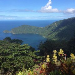 Mahogany Ridge in Arouca, Trinidad and Tobago from 154$, photos, reviews - zenhotels.com outdoors photo 3