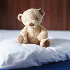 Отель Holiday Inn Express Nurnberg City - Hauptbahnhof с домашними животными