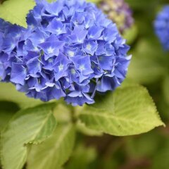 Отель B&B Hof Ter Beuke фото 11
