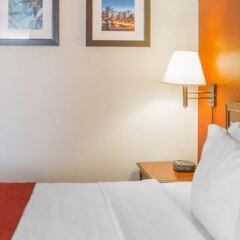 Отель Comfort Inn & Suites University Канада, Калгари - отзывы, цены и фото номеров - забронировать отель Comfort Inn & Suites University онлайн детские мероприятия