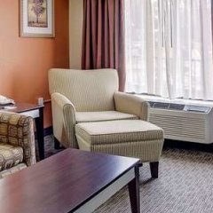 Comfort Inn in Conover, United States of America from 122$, photos, reviews - zenhotels.com room amenities photo 2