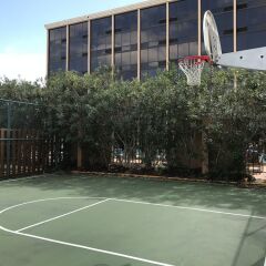 Best Western Orlando Gateway Hotel фото 11