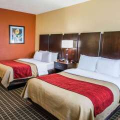 Отель Clarion Inn & Suites Miami International Airport США, Майами-Спрингс - отзывы, цены и фото номеров - забронировать отель Clarion Inn & Suites Miami International Airport онлайн комната для гостей фото 3