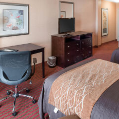 Отель Comfort Inn MSP Airport - Mall of America США, Блумингтон - отзывы, цены и фото номеров - забронировать отель Comfort Inn MSP Airport - Mall of America онлайн фото 2