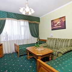 Hotel Korona удобства в номере