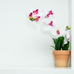Отель Cool and Chic Hostel Испания, Оспиталет-де-Льобрегат - отзывы, цены и фото номеров - забронировать отель Cool and Chic Hostel онлайн ванная