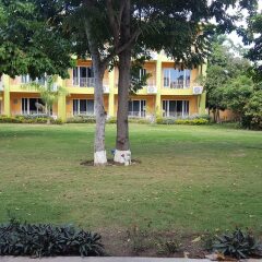 Отель Oasis Resort Ямайка, Негрил - отзывы, цены и фото номеров - забронировать отель Oasis Resort онлайн фото 4