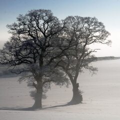 Отель Hazelwood Farm B&B
