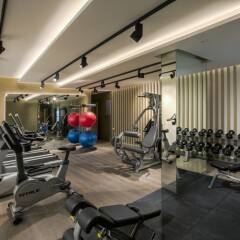 Отель Grayton Hotel Dubai ОАЭ, Дубай - отзывы, цены и фото номеров - забронировать отель Grayton Hotel Dubai онлайн фитнесс-зал фото 2