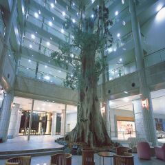 Yakushima Iwasaki Hotel Якусима помещение для мероприятий фото 2