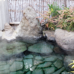 Отель Ryokan Tatsumi Хидзи бассейн фото 3