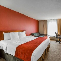 Отель Comfort Inn & Suites South Канада, Калгари - отзывы, цены и фото номеров - забронировать отель Comfort Inn & Suites South онлайн комната для гостей фото 5