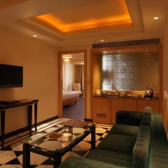 Отель Lemon Tree Premier Jaipur комната для гостей фото 5