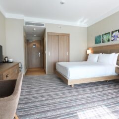 Отель Hilton Garden Inn Adiyaman Адыяман комната для гостей фото 2