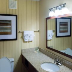 Отель Holiday Inn Niagara Falls Scenic Downtown США, Ниагара-Фолс - отзывы, цены и фото номеров - забронировать отель Holiday Inn Niagara Falls Scenic Downtown онлайн ванная фото 2