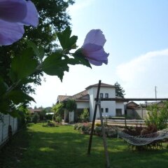 Отель Guest House Zdravec Болгария, Балчик - отзывы, цены и фото номеров - забронировать отель Guest House Zdravec онлайн фото 2