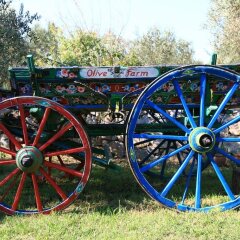 Отель Olive Farm Of Datca Guesthouse - Adults Only Датча спортивное сооружение