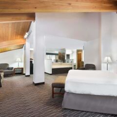 Отель Baymont Inn & Suites Columbus/Rickenbacker Колумбус комната для гостей фото 2