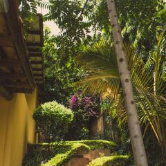 Отель Aparthotel Jardin Tropical фото 21