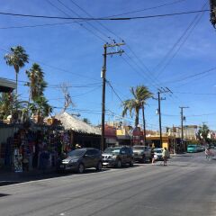 Отель Baja's Cactus Hostel Мексика, Кабо-Сан-Лукас - отзывы, цены и фото номеров - забронировать отель Baja's Cactus Hostel онлайн фото 3