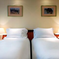 Отель Sofitel Budapest Chain Bridge Венгрия, Будапешт - 12 отзывов об отеле, цены и фото номеров - забронировать отель Sofitel Budapest Chain Bridge онлайн комната для гостей фото 6