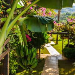 Pataros Hotel Турция, Патара - отзывы, цены и фото номеров - забронировать отель Pataros Hotel онлайн фото 27