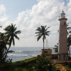 Отель Villa Aurora, Galle Fort Шри-Ланка, Галле - отзывы, цены и фото номеров - забронировать отель Villa Aurora, Galle Fort онлайн пляж фото 2